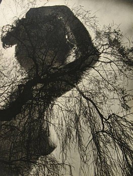 Miroslav Hak -&nbsp;Predjari (Early Spring)