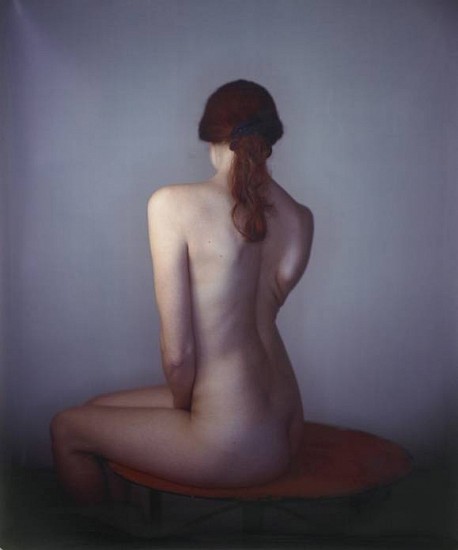 Richard Learoyd
Jenna on mirror, 2010
Ilfochrome photograph
58 x 48 in. (147.3 x 121.9 cm)