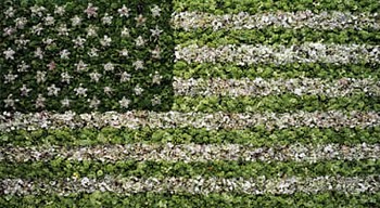 Vik Muniz -&nbsp;American Flag (from the portfolio America: Now + Here)