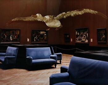 Artist:&nbsp;Weber-Unger, Margret (1978-)