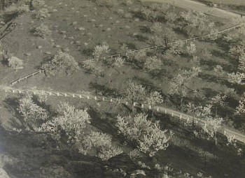 Josef Sudek -&nbsp;Jarni krajina (Spring Landscape)