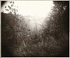 Sally Mann, Untitled (from the portfolio America: Now + Here)
2009, Digital C-print