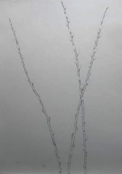 Martin Kline -&nbsp;3 Willows