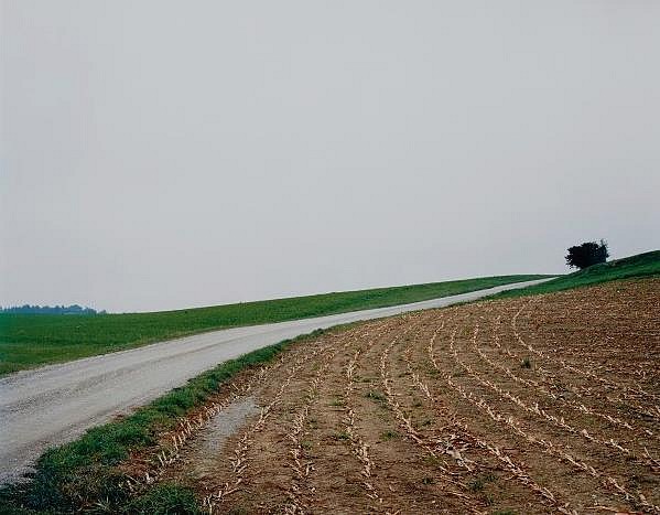 Thomas Struth
Mais-Acker, No. 22, Winterthur, 1992
Chromogenic print (color)
25 1/8 x 32 3/8 in. (63.8 x 82.2 cm)
Edition 9/10