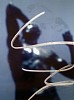 Majed Aslam, Pure Phase (#1)
2013, Re-modelled photograph, acetone on inkjet